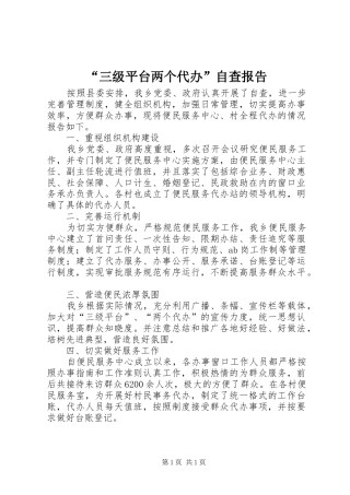 “三级平台两个代办”自查报告