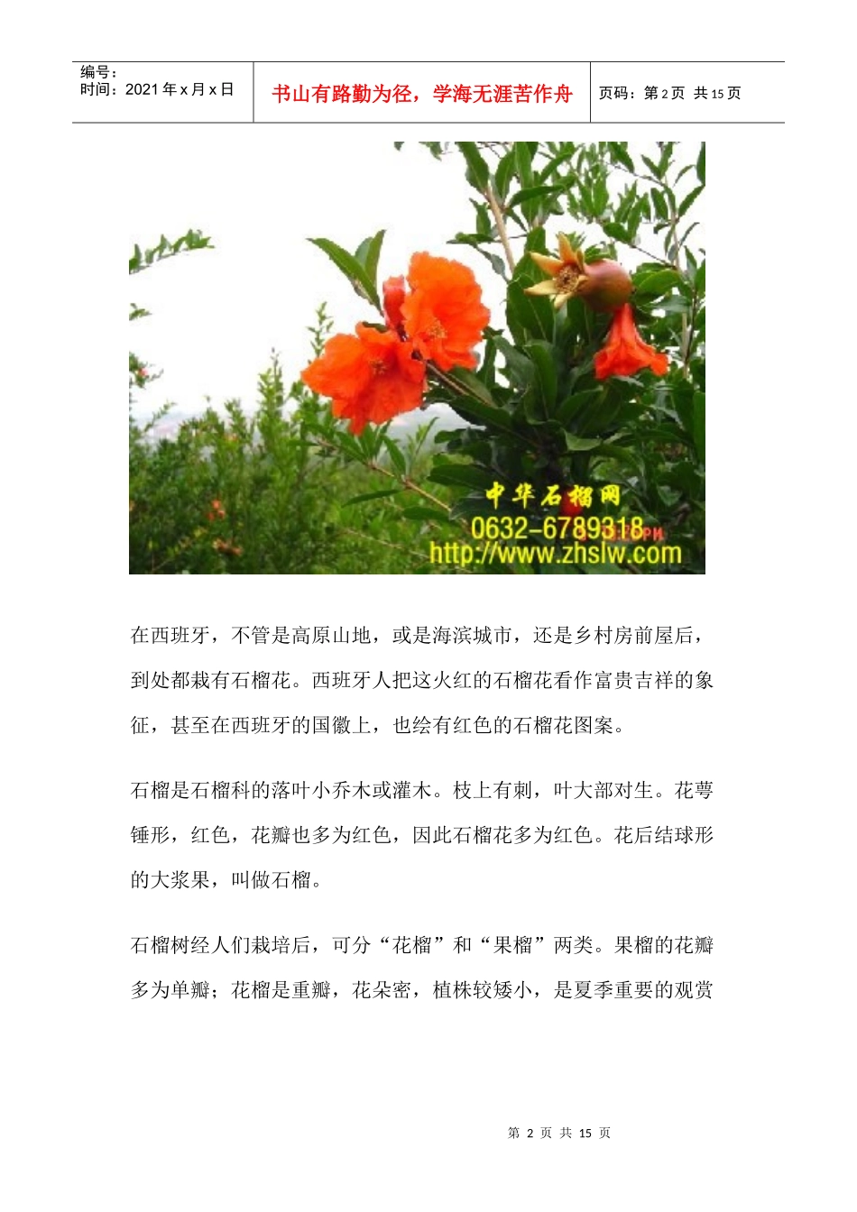 石榴花的食用与药用_第2页