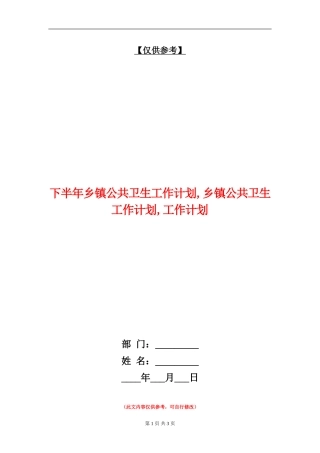 下半年乡镇公共卫生工作计划
