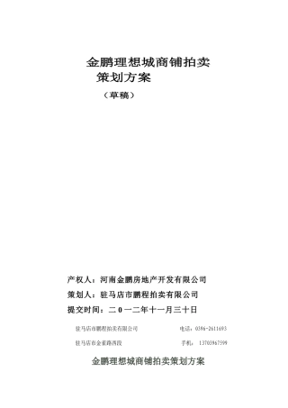 金鹏理想城商铺拍卖的策划
