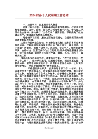 2017财务个人试用期工作总结