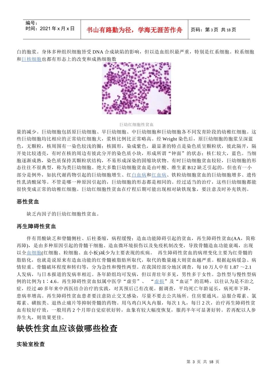 贫血全科专业资料简介_第3页