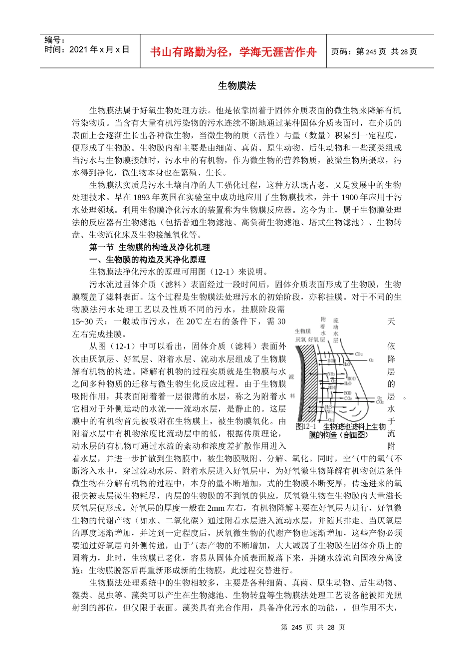 生物膜法讲义_第1页