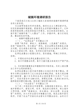 城镇环境调研报告