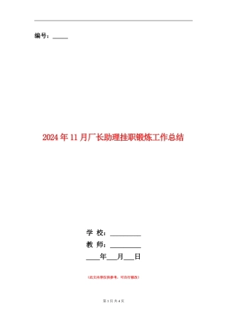2024年11月厂长助理挂职锻炼工作总结