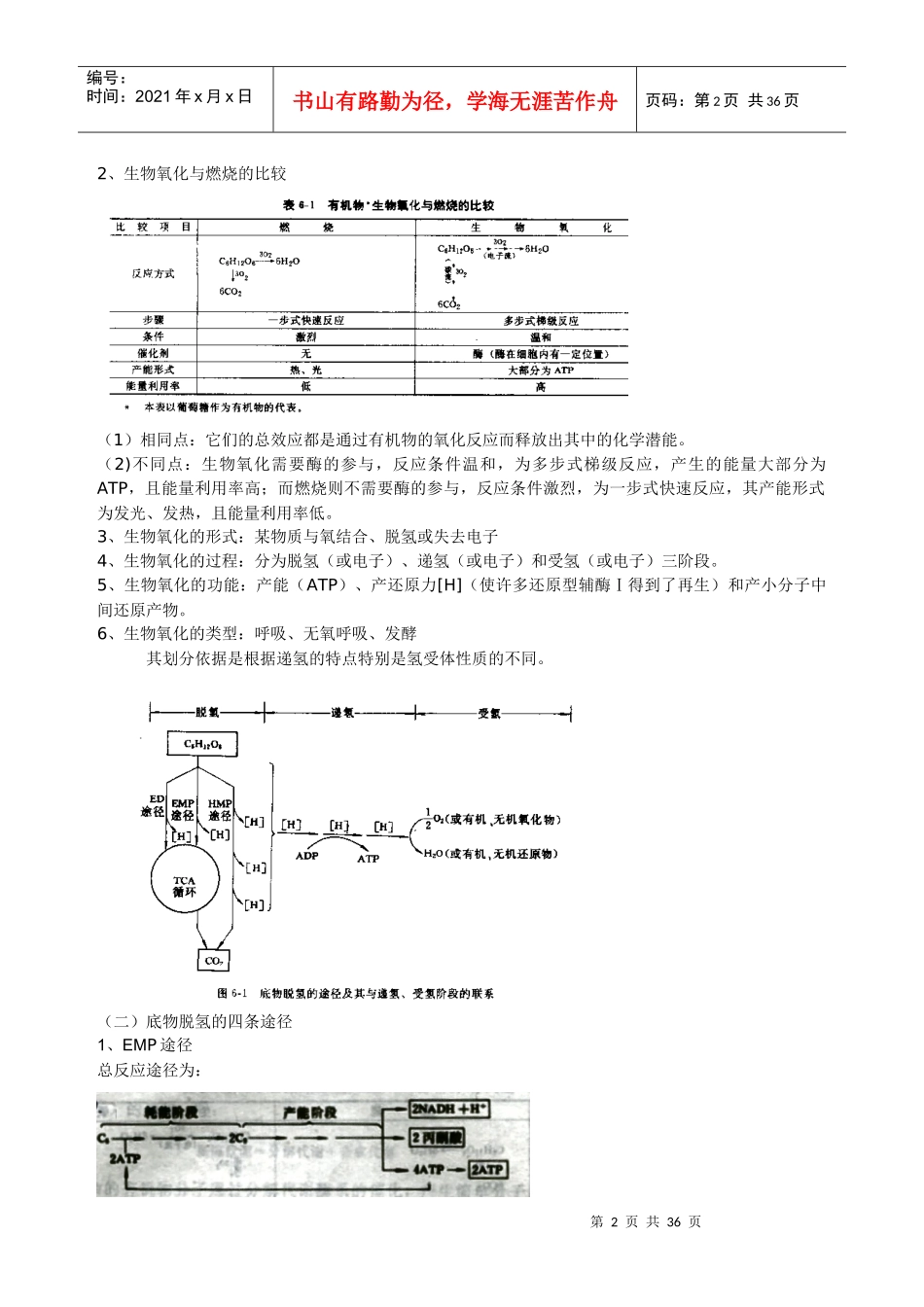 第五章微生物的新陈代谢_第2页