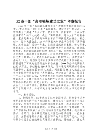 XX市干部“离职锻炼建功立业”考察报告