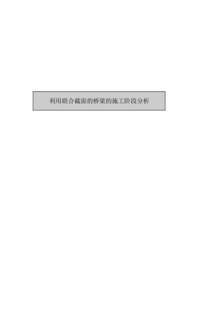 联合截面(标准)施工阶段分析