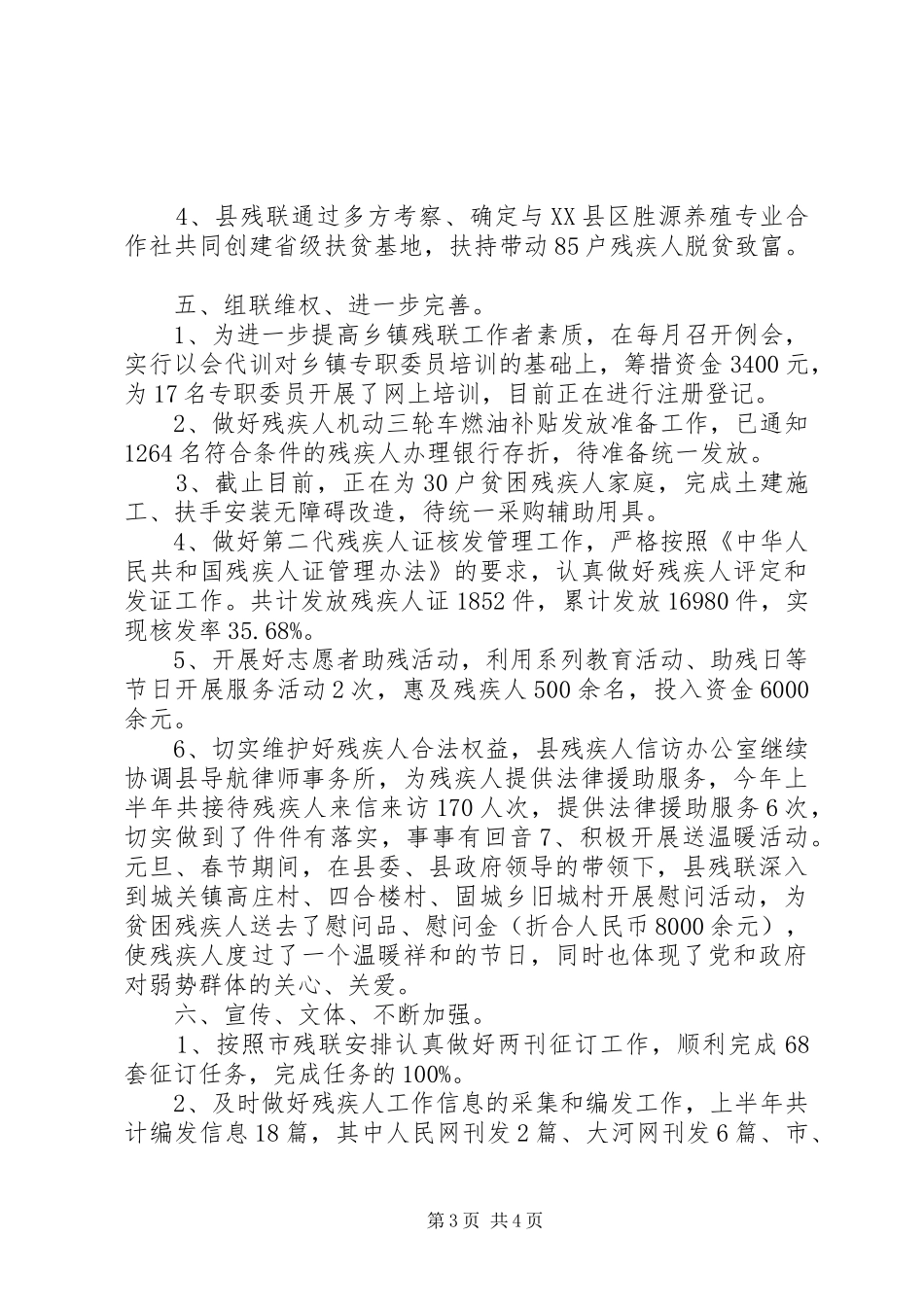 残疾人联合会年终工作汇报_第3页