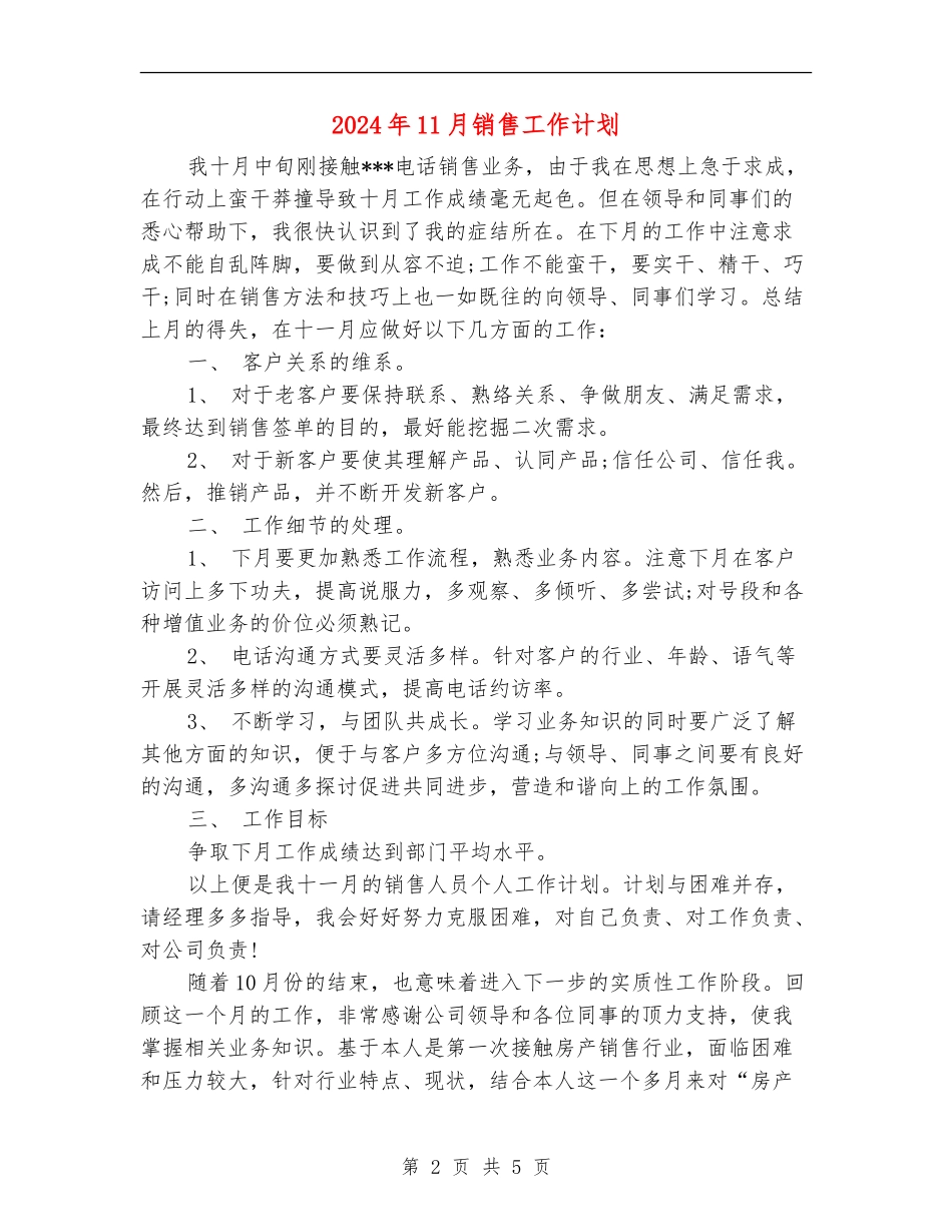 2024年11月销售工作计划-_第2页