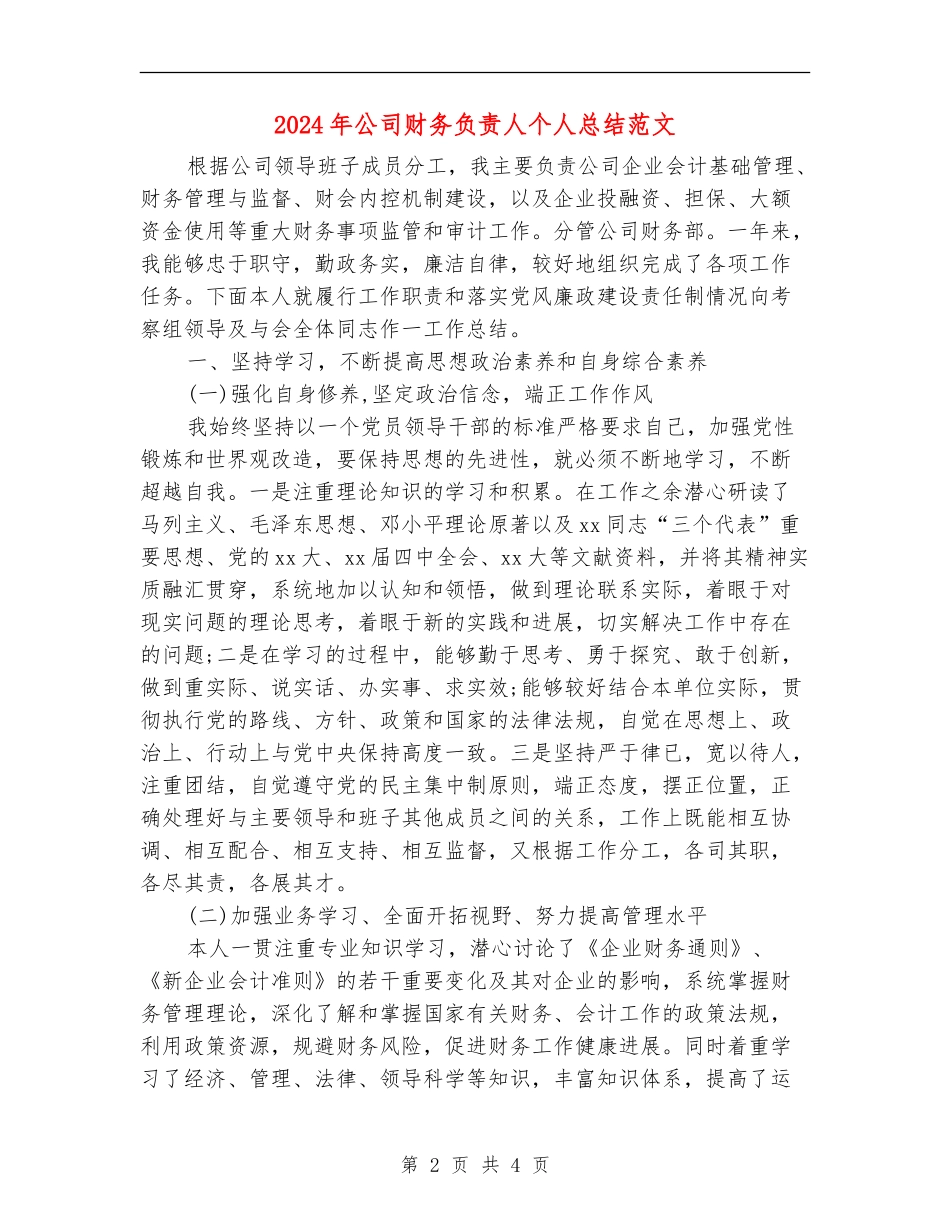 2024年公司财务负责人个人总结范文【最新版】_第2页