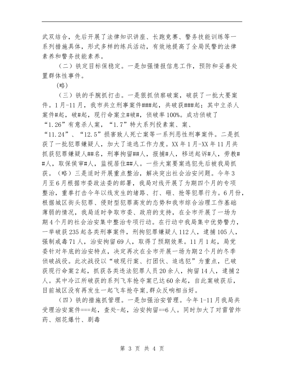 市公安局年度工作总结_第3页
