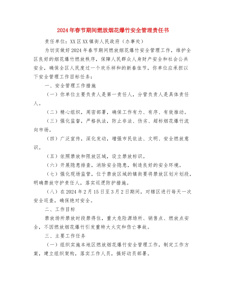 2024麻醉医生年度个人总结与2024年春节期间燃放烟花爆竹安全管理责任书汇编_第3页