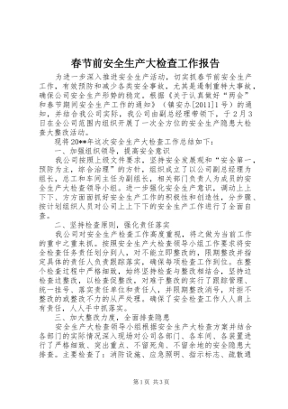 春节前安全生产大检查工作报告