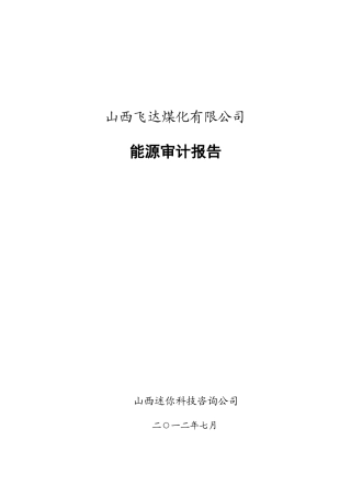 飞达公司能源审计报告