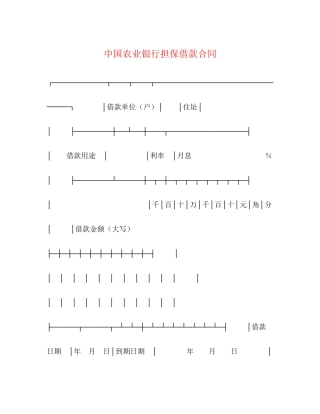 中国农业银行担保借款合同2)