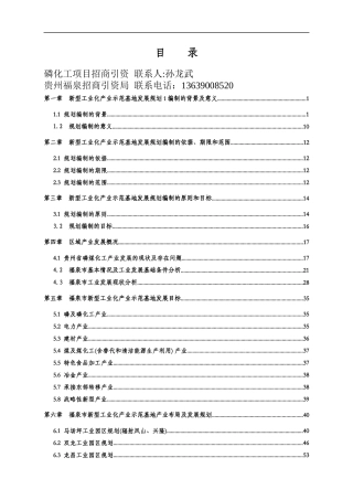 经济发展及发展方向目标及磷化工项目招商