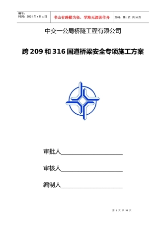 跨G209和G316国道道桥梁安全专项施工方案