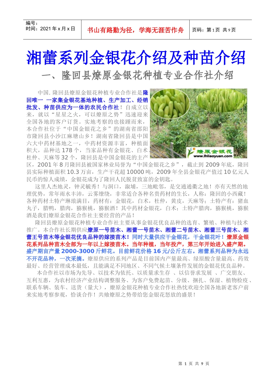 金银花苗木品种分析_第1页