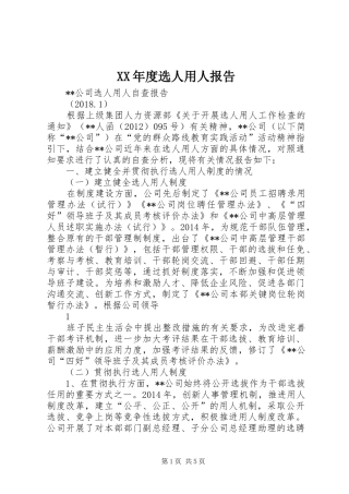 XX年度选人用人报告