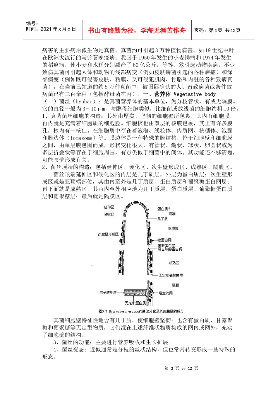 真核微生物讲义_第3页