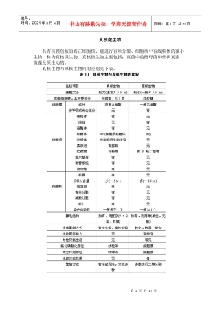 真核微生物讲义