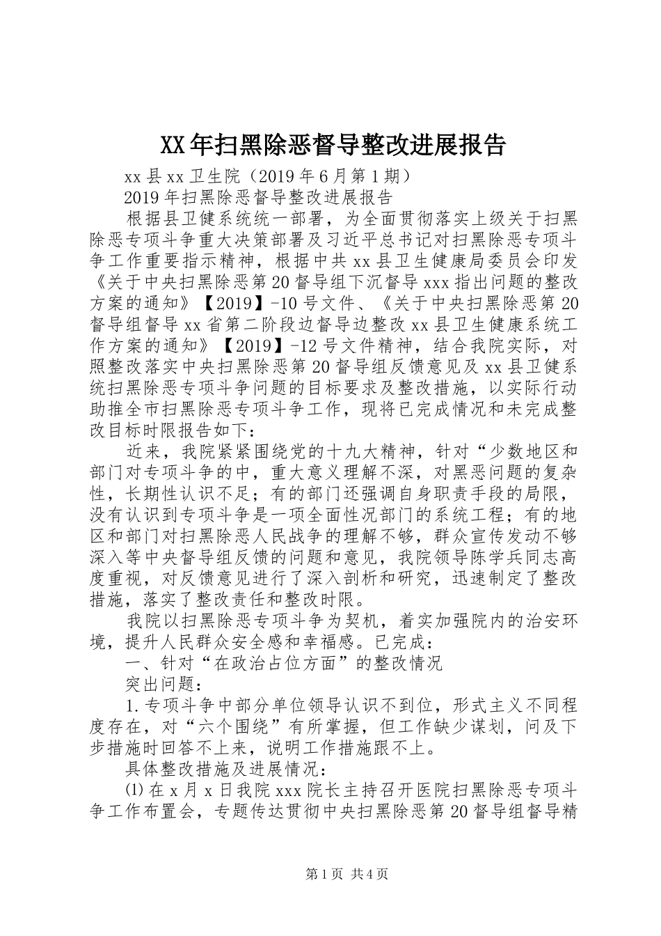 XX年扫黑除恶督导整改进展报告_第1页