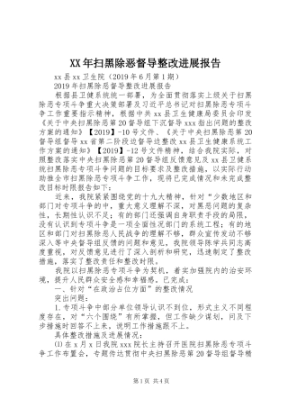 XX年扫黑除恶督导整改进展报告
