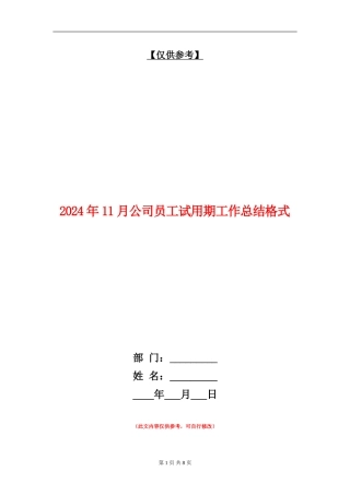 2024年11月公司员工试用期工作总结格式