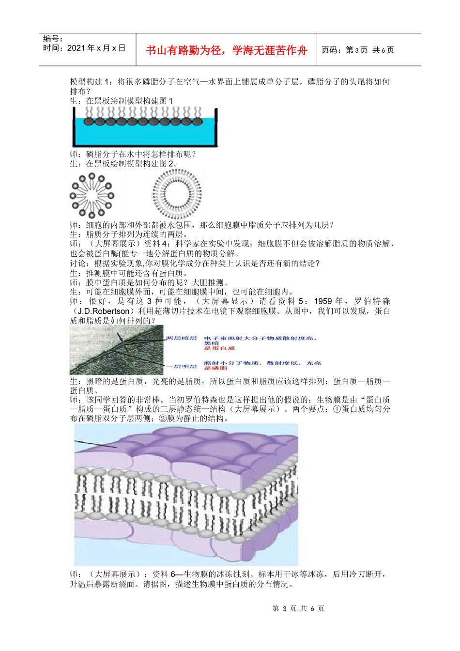 生物膜的流动镶嵌模型教学案_第3页