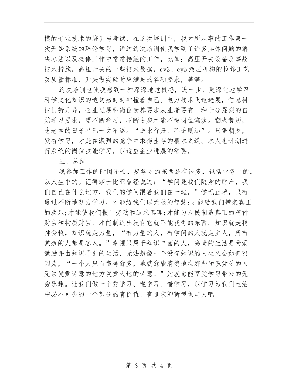 2024年电厂专业技术工作总结范文_第3页