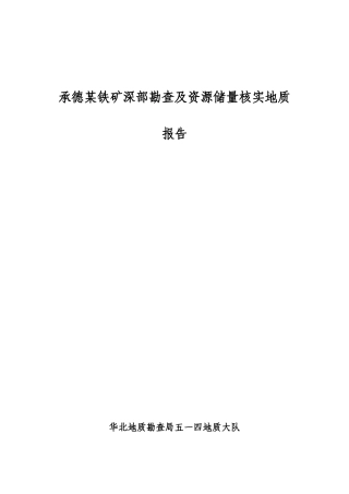 铁矿资源储量地质勘察报告