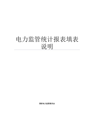电力监管统计报表填表说明