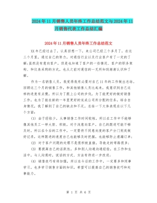 2024年11月销售人员年终工作总结范文与2024年11月销售代表工作总结汇编