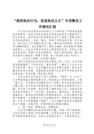 “规范执法行为，促进执法公正”专项整改工作情况汇报