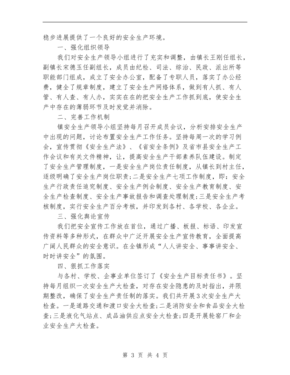 2024年安全检查年度总结范文【新版】_第3页