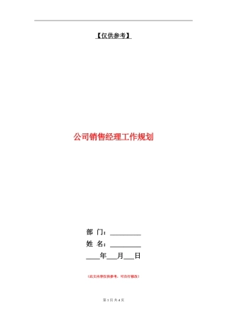 公司销售经理工作规划