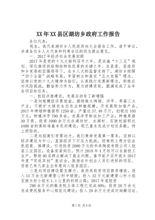 XX年XX县区湖坊乡政府工作报告