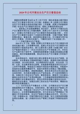 2017年公司开展安全生产百日督查总结