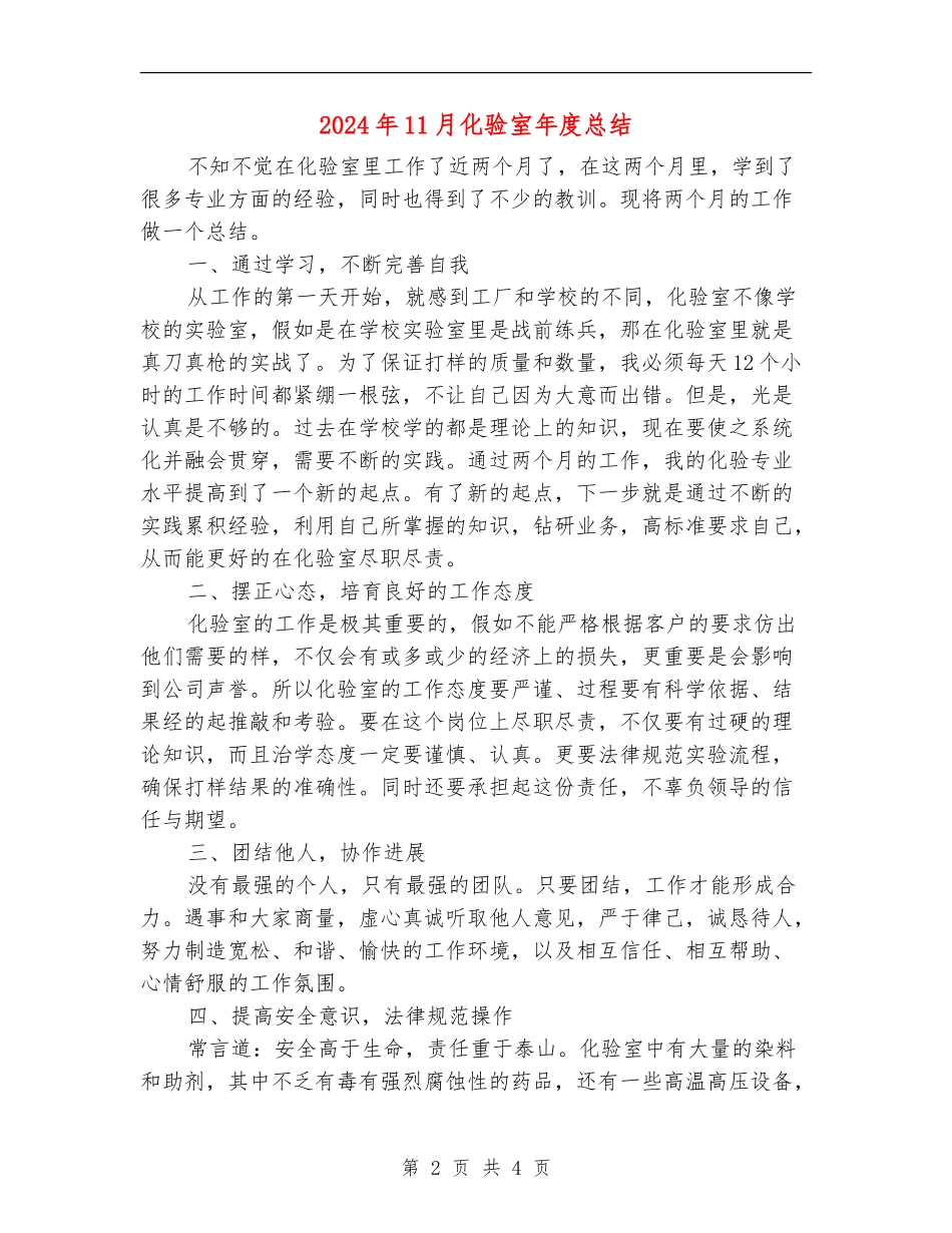 2024年11月化验室年度总结【新版】_第2页