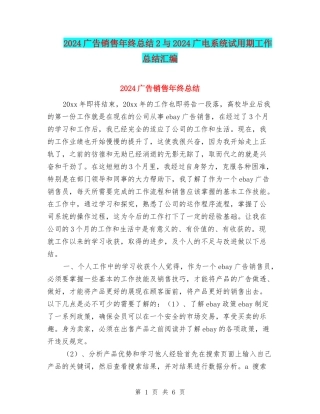 2024广告销售年终总结2与2024广电系统试用期工作总结汇编