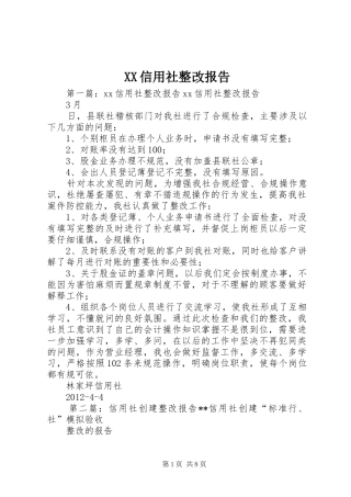 XX信用社整改报告