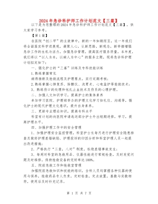 2024年急诊科护师工作计划范文
