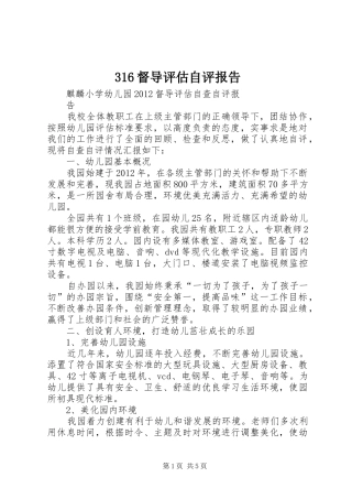 316督导评估自评报告