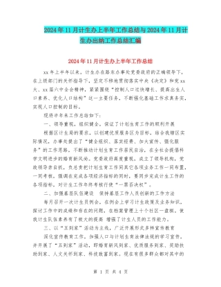 2024年11月计生办上半年工作总结与2024年11月计生办出纳工作总结汇编