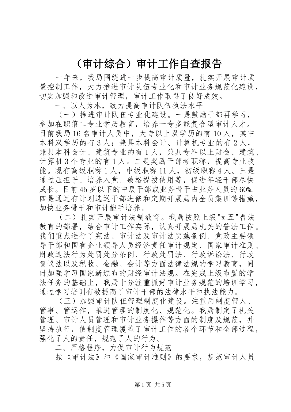 （审计综合）审计工作自查报告_第1页