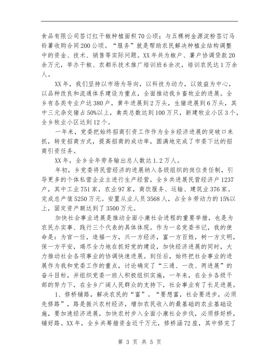 乡党委书记年终个人工作总结_第3页
