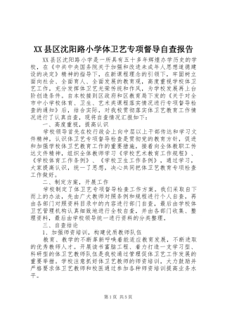 XX县区沈阳路小学体卫艺专项督导自查报告