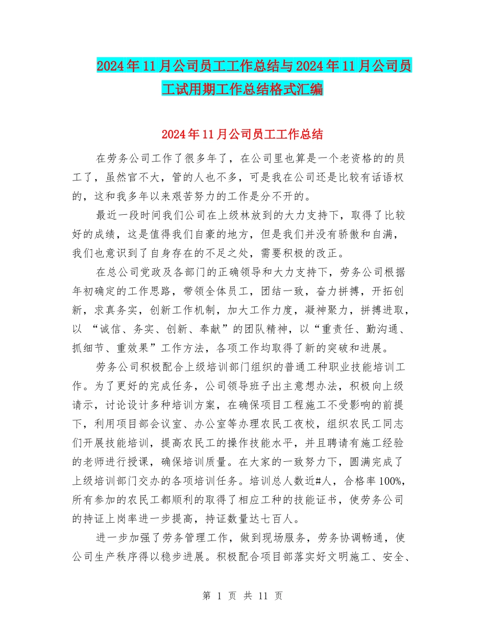 2024年11月公司员工工作总结与2024年11月公司员工试用期工作总结格式汇编_第1页