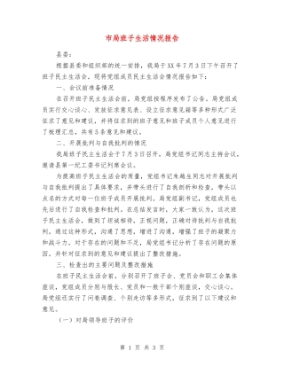 市局班子生活情况报告